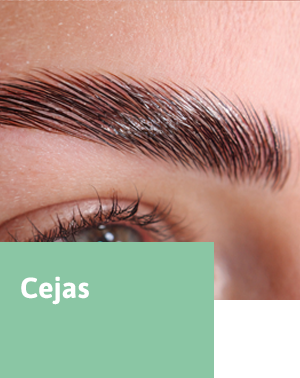 cejas