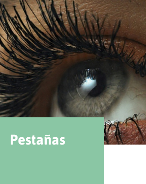pestanas